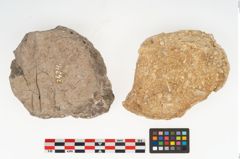 Foto von Stein (NHMW-PRAE-003434e)